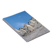 Carnet Manchots à Collier | Pygoscelis Antarctica (Côté Droit)