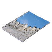 Carnet Manchots à Collier | Pygoscelis Antarctica (Côté gauche)