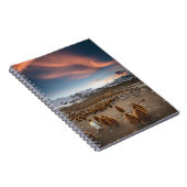Carnet Manchots au coucher du soleil (Côté Droit)