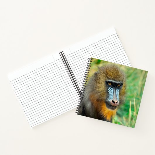 Carnet Mandrill 002 (Intérieur)