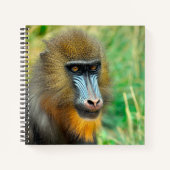 Carnet Mandrill 002 (Devant)