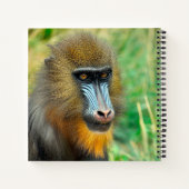 Carnet Mandrill 002 (Dos)