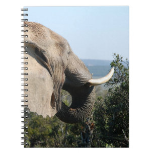 Carnet Manger des éléphants sauvages, Afrique du Sud