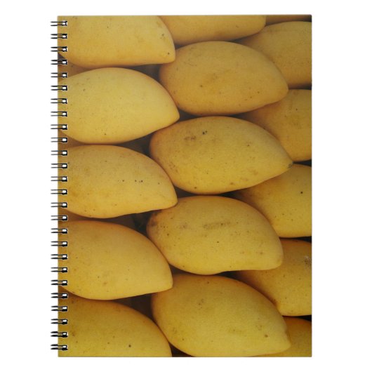 Carnet Mango (Devant)