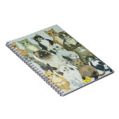 Carnet Manières de gain (Côté Droit)