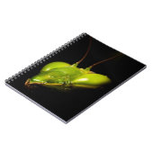 Carnet Mante priante (Côté gauche)