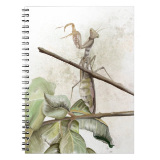 Carnet Mante religieuse aquarelle