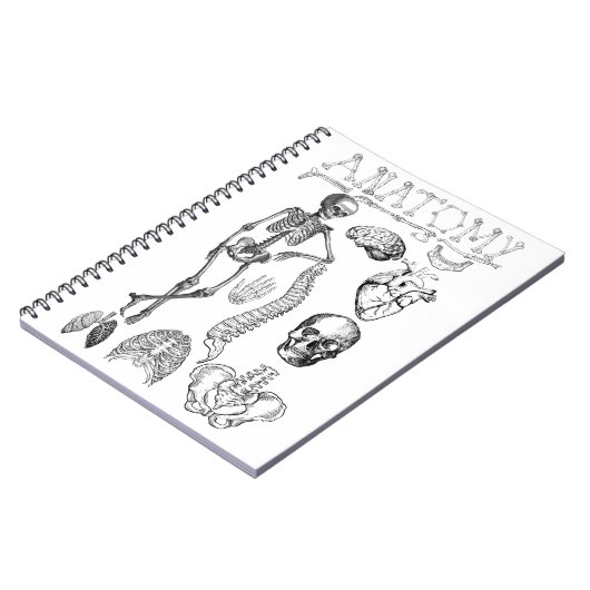 Carnet Manuel d'anatomie humaine pour notes (Côté gauche)