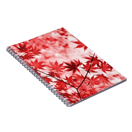 Carnet Maple Trees Feuille Design-29997 (Côté Droit)