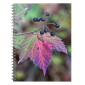 Carnet Mapleleaf Viburnum Feuilles d'automne et baies (Devant)