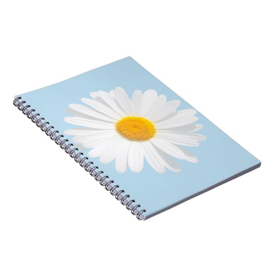 Carnet marais blanc (Côté Droit)