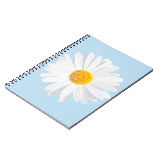 Carnet marais blanc (Côté gauche)