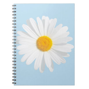Carnet marais blanc
