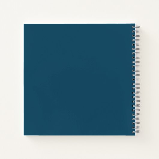 Carnet Marbre bleu (Dos)