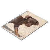 Carnet Marche de chiot de chiwawa (Côté gauche)