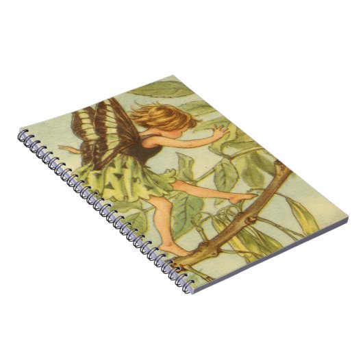 Carnet Marche de la fée des Ash Tree sur Branche (Côté Droit)