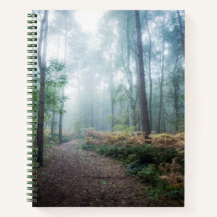 Carnet Marche de la forêt de Misty