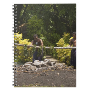 Carnet Marcheurs de feu, Centre culturel polynésien, Viti
