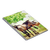 Carnet Mares et poulains (Côté Droit)