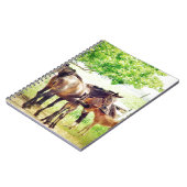 Carnet Mares et poulains (Côté gauche)