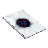 Carnet Marguerite africaine (Côté Droit)