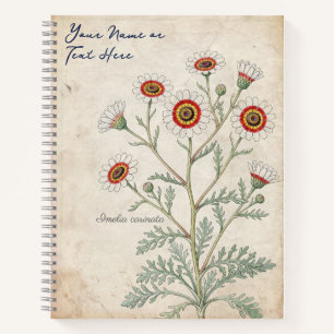 Carnet Marguerite Botanique Peinte de Style Vintage