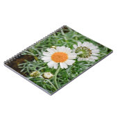 Carnet Marguerite des prés (Côté gauche)