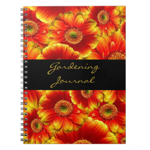 Carnet Marguerites de Gerbera jaune et orange