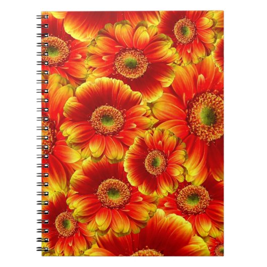 Carnet Marguerites de Gerbera jaune et orange (Devant)