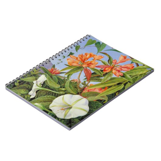 Carnet Marianne North - Javan Rhododendrum (Côté gauche)