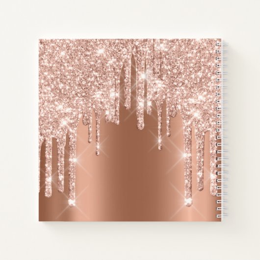 Carnet Mariée pour être douce 16e Rose Princesse lèvres d (Dos)