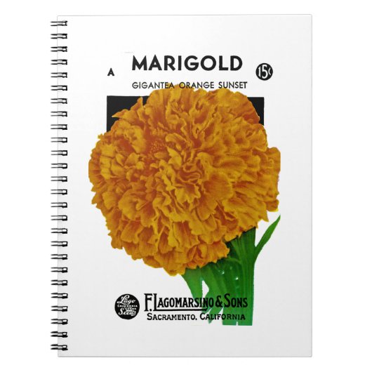 Carnet Marigold Vintage Seed Packet (Devant)