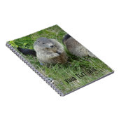 Carnet Marmot (Côté Droit)
