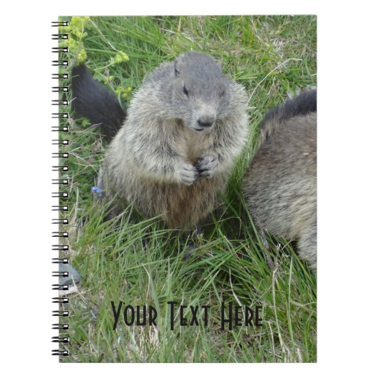 Carnet Marmot (Devant)