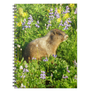 Carnet Marmot dans le Mont Rainier Fleurs sauvages