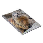 Carnet Marmotte alpine (Côté Droit)