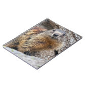 Carnet Marmotte alpine (Côté gauche)