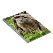 Carnet Marmotte dans un tronc creux (Côté Droit)