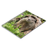 Carnet Marmotte dans un tronc creux (Côté gauche)