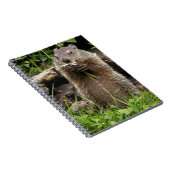Carnet Marmotte mâchonnant une fleur (Côté Droit)