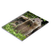 Carnet Marmotte mâchonnant une fleur (Côté gauche)