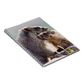 Carnet Marmotte mère avec bébé (Côté Droit)