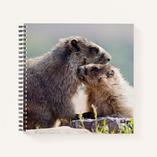 Carnet Marmotte mère avec bébé (Devant)