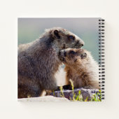 Carnet Marmotte mère avec bébé (Dos)