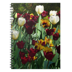 Carnet Maroon et Tulipes Jaunes Florales colorées
