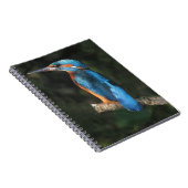 Carnet Martin-pêcheur (Côté Droit)