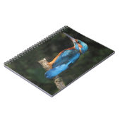 Carnet Martin-pêcheur (Côté gauche)