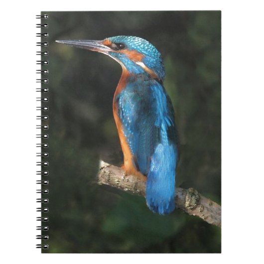 Carnet Martin-pêcheur (Devant)