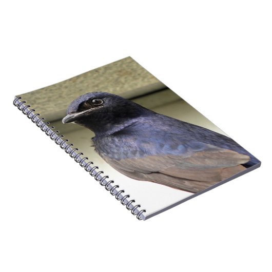 Carnet Martin pourpre majestueuse (Côté Droit)