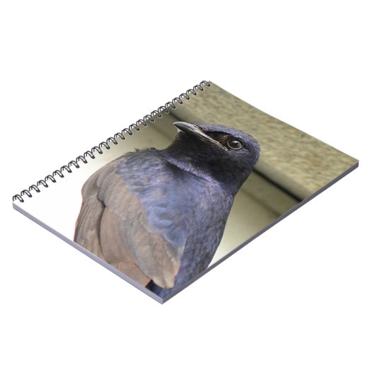 Carnet Martin pourpre majestueuse (Côté gauche)